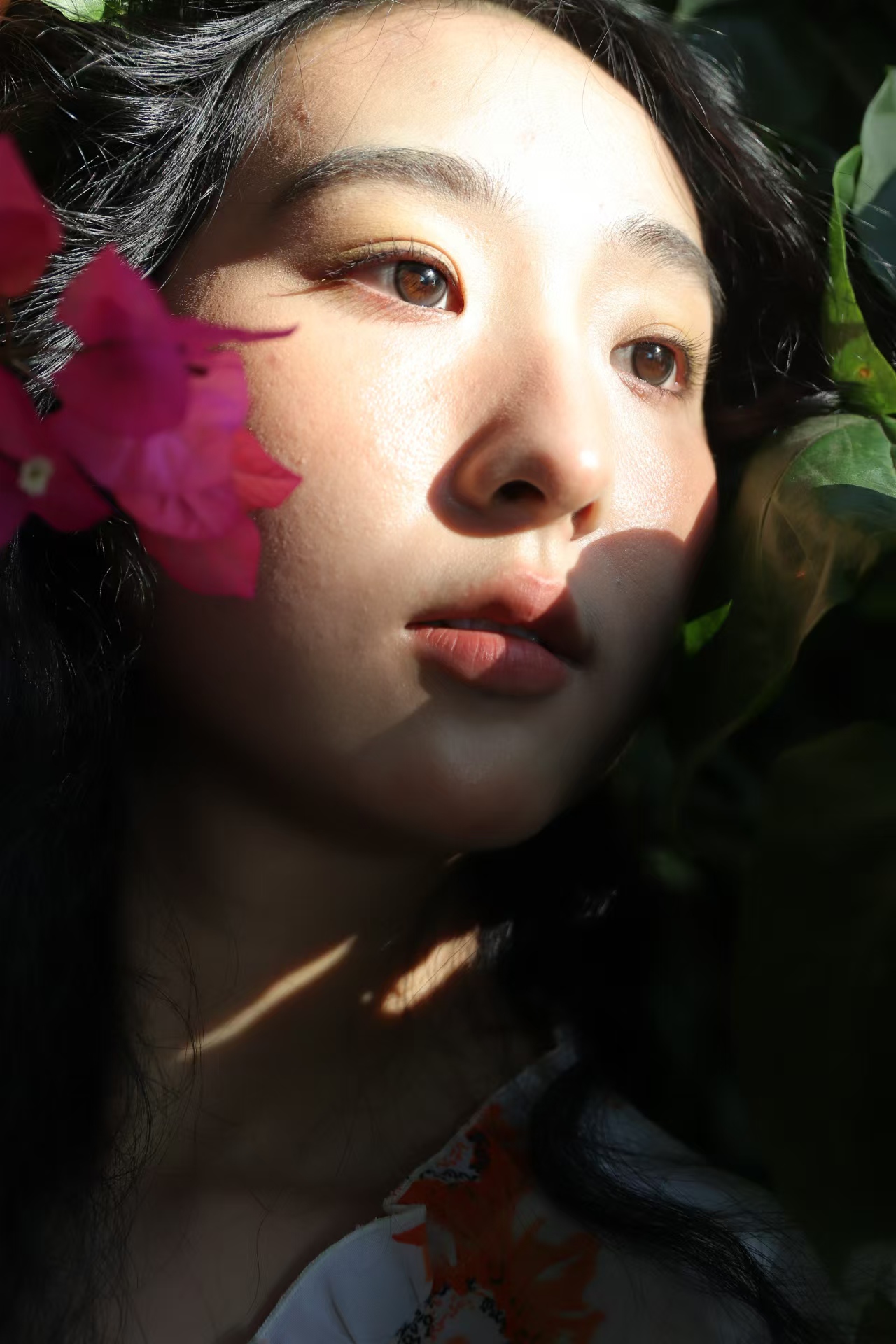 花影与阳光中的牛乔